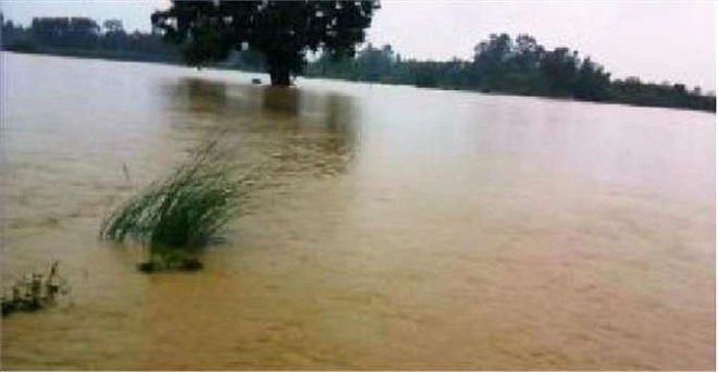 बाढ़ प्रभावित किसानों के लिए उत्तर प्रदेश सरकार ने पहली राहत किस्त जारी की