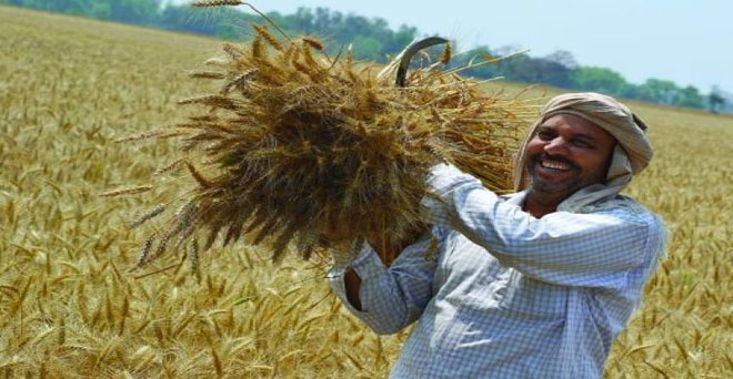 दिल्ली के किसानों को मिलेगा पीएम-किसान योजना का लाभ, राज्य सरकार ने दी अनुमति