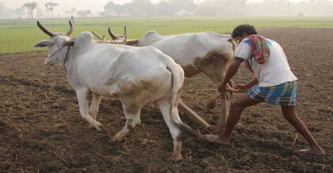 भारतीय किसानों पर विकल्पों का बोझ-सर्वेक्षण