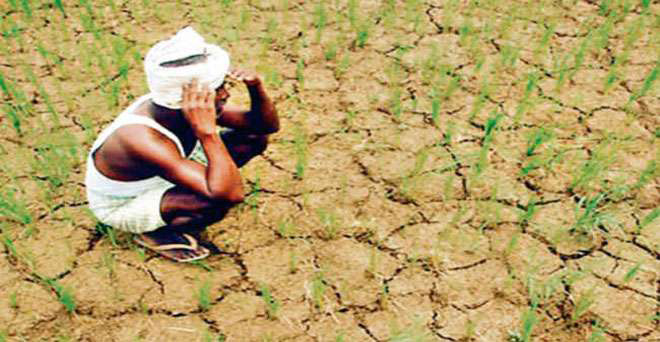गुजरात: राज्य का 50 फीसदी भाग सूखे की चपेट में, खरीफ फसलों की बुवाई में आई कमी