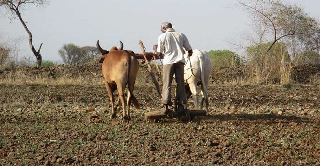महाराष्ट्र में किसानों की कृषि कर्ज माफी से 45-51 हजार करोड़ खर्च आने का अनुमान: रिपोर्ट