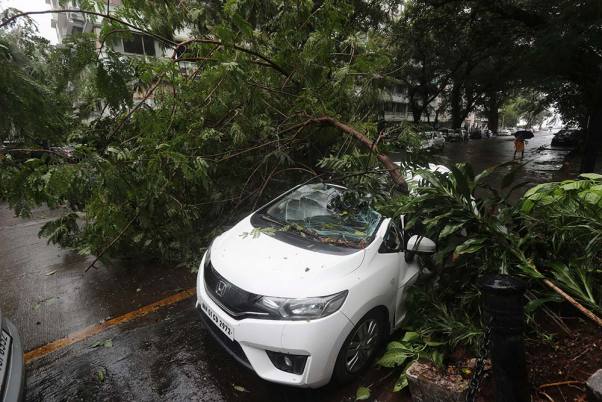 मुंबई में भारी वर्षा के बाद पेड़ गिरने से एक कार क्षतिग्रस्त