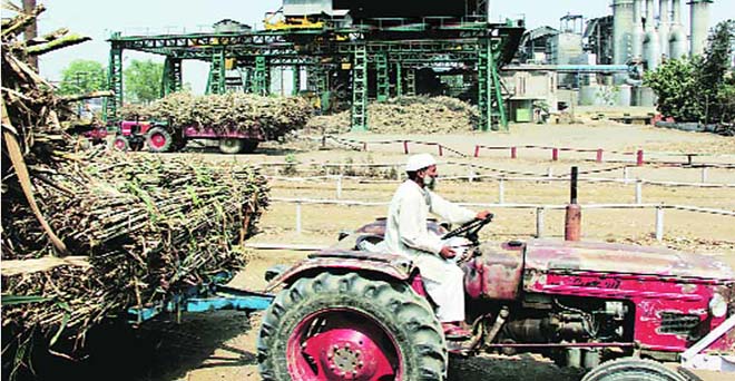 उत्तर प्रदेश में चीनी उत्पादन 16.70 फीसदी घटा, 88 मिलों में पेराई आरंभ