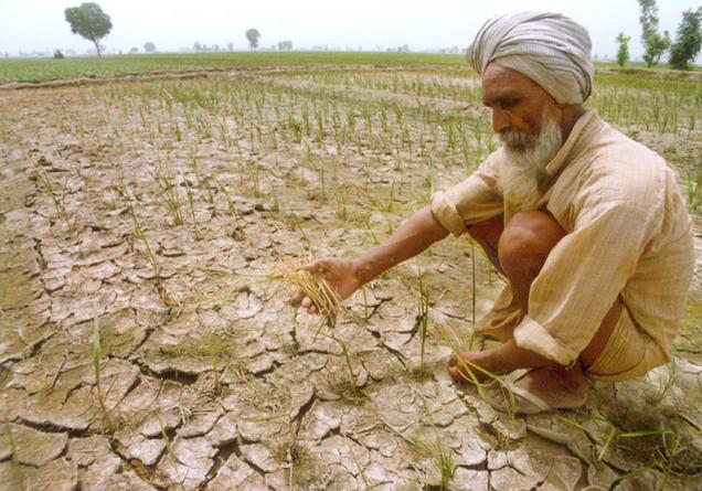 पंजाब में खेत मजदूरों को मिलेगा मुआवजा