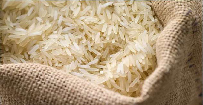 चावल निर्यात मामले में सऊदी अरब से वार्ता करेगी सरकार, कीटनाशक कम उपयोग की है मांग