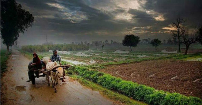 पश्चिम बंगाल, ओडिशा, झारखंड के साथ पूर्वोत्तर के कई राज्यों में बारिश का अनुमान