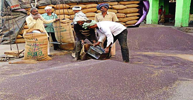 नेफेड से राजस्थान के किसानों के बकाया 3200 करोड़ रुपये के भुगतान की मांग