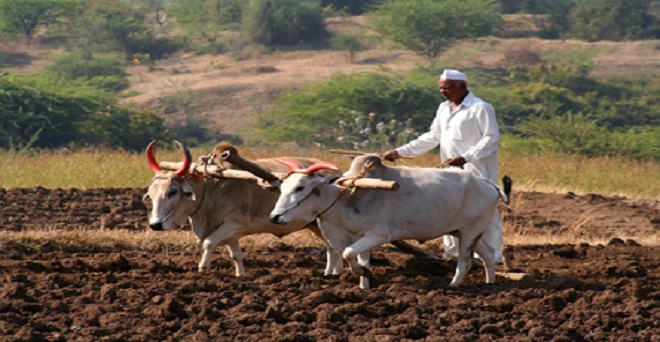 महाराष्ट्र में किसानों की ऋण माफी से सरकारी खजाने पर पड़ेगा 20 हजार करोड़ का भार