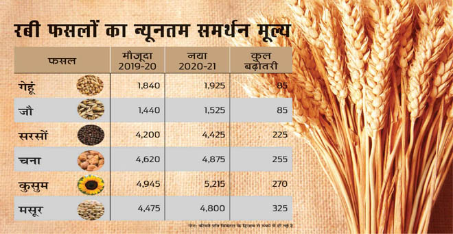 रबी फसलों के समर्थन मूल्य में 85 से 325 रुपये की बढ़ोतरी, गेहूं में सबसे कम