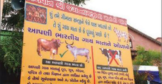 'पीएम मोदी के गुजरात में देशी गाय ही गौ माता, इसका दूध ही सर्वोत्‍तम'