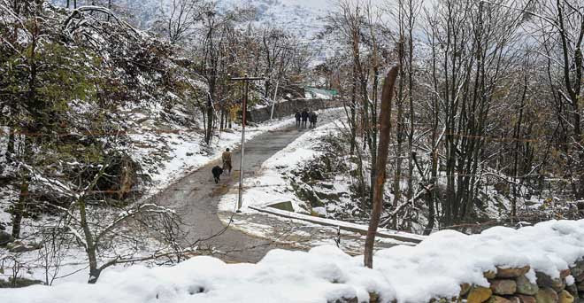 बेमौसम बारिश से प्रभावित जम्मू-कश्मीर के किसानों का केसीसी कर्ज हो माफ : पीडीपी सांसद