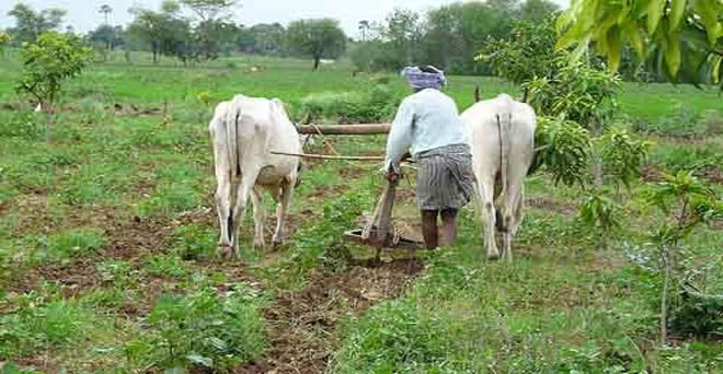 केंद्र सरकार के खिलाफ आंदोलन शुरू करेगी किसान खेत मजदूर कांग्रेस