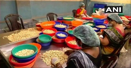 संकट में केरल का काजू उद्योग, 700 में से सिर्फ 10 फैक्ट्रियां ही बचीं