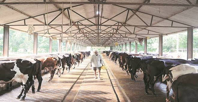 आरसीईपी समझौते से देश के दूध एवं अन्य किसानों को होगा घाटा-किसान संगठन