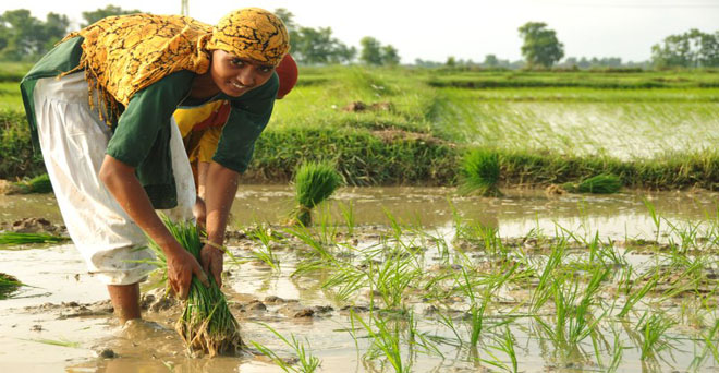 खरीफ फसलों की बुवाई 10 फीसदी पिछड़ी, देशभर में मानसूनी बारिश 6 फीसदी कम