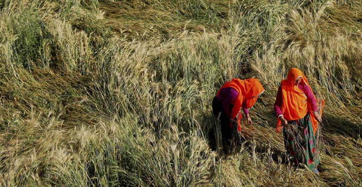 बेमौसम बारिश पर राज्यसभा में चिंता