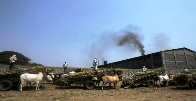 महाराष्ट्र की 50 चीनी मिलों पर किसानों का बकाया, इन्हें लाइसेंस मिलने में आ सकती है दिक्कत