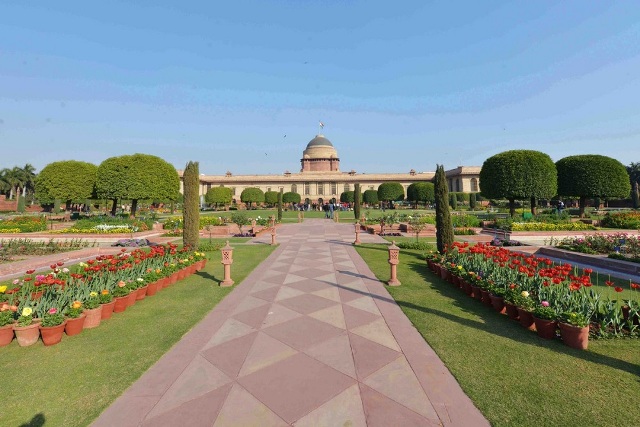 6 फरवरी से खुल रहा है मुगल गार्डन, जानें कैसे कराएं ऑनलाइन बुकिंग, इस बार कौन से फूल होंगे आकर्षण का केंद्र