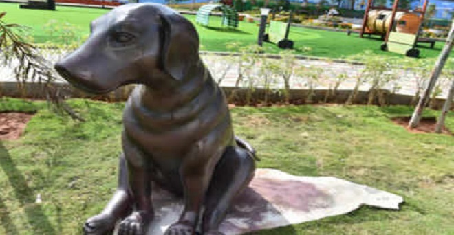 हैदराबाद में देश का पहला ‘डॉग पार्क’
