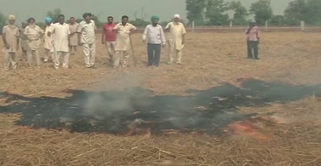 पंजाब के किसानों ने पराली जलाकर किया सरकार के फैसले विरोध