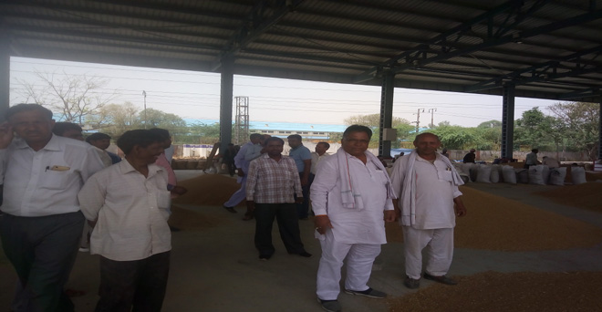 दिल्ली सरकार से नाराज हैं गेहूं किसान, घोषित भाव पर नहीं हो रही खरीद