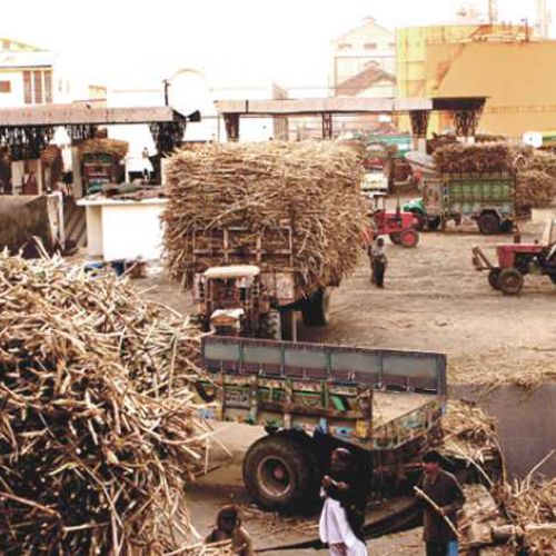 गन्ना मूल्य वृद्धि के लिए उत्तर प्रदेश के किसान 11 दिसम्बर को रास्ता जाम करेंगे
