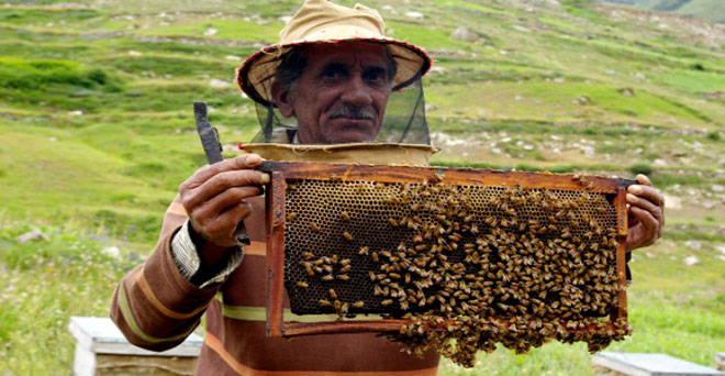 मधु मूल्य स्थिरीकरण कोष बनाने, मधुमक्खी पालकों को किसान का दर्जा देने की मांग