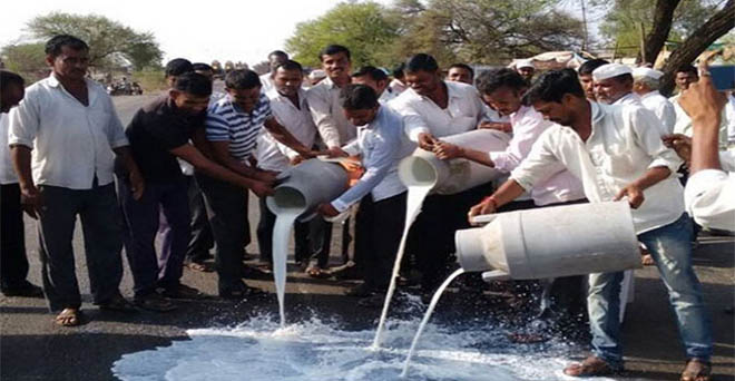 किसानों ने कई राज्यों में दूध और सब्जियां सड़क पर फेंकीं, मंदसौर में हाई अलर्ट