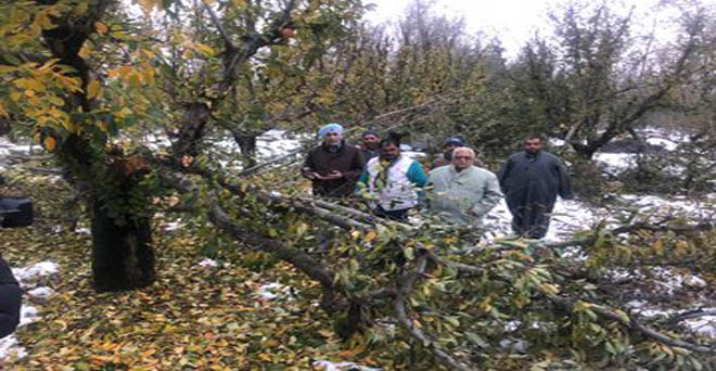 केंद्र जम्मू कश्मीर में बागवानी किसानों को हुए नुकसान को राष्ट्रीय आपदा घोषित करें-एआईकेएससीसी
