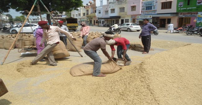 समर्थन मूल्य पर धान बेचने पर ओडिशा के किसानों को 588 रुपये का नुकसान