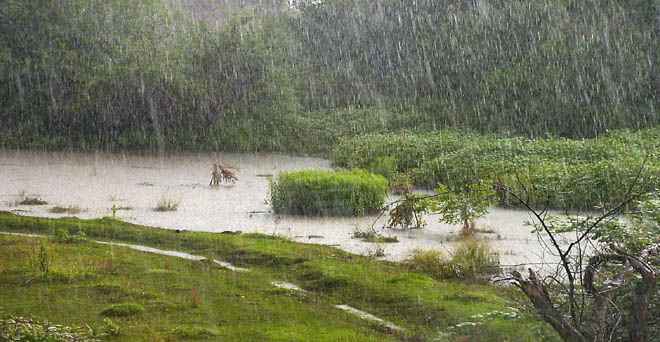पहाड़ी राज्यों के साथ ही उत्तर भारत के राज्यों में बारिश की संभावना