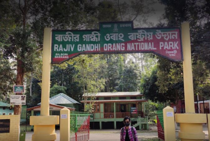 असम: ओरंग नेशनल पार्क से हटाया गया राजीव गांधी का नाम, कांग्रेस बोली- योगदान नहीं मिटा सकते