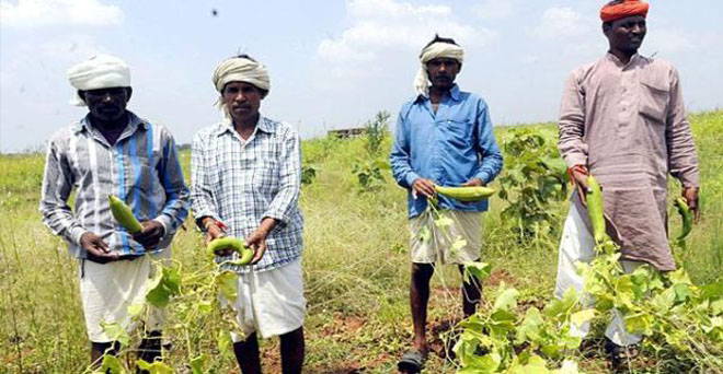पीएम-किसान योजना में किसानों के डेटा देने में ओडिशा सरकार कर रही देरी