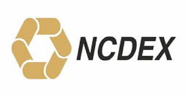 एनसीडीईएक्स ने आईपीओ लाने के लिये सेबी को सौंपे दस्तावेज