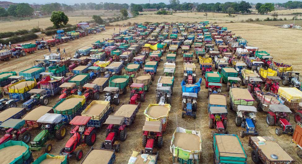 खरीद का संकटः मध्य प्रदेश के जबलपुर में गेहूं खरीद का मंडी में इंतजार करते किसान 