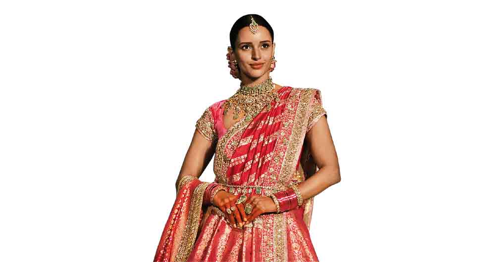 तृप्ति डिमरी