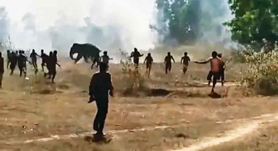 डर का सायाः झारखंड का सिंहभूम में हाथियों के झुंड को भगाते स्थानीय लोग