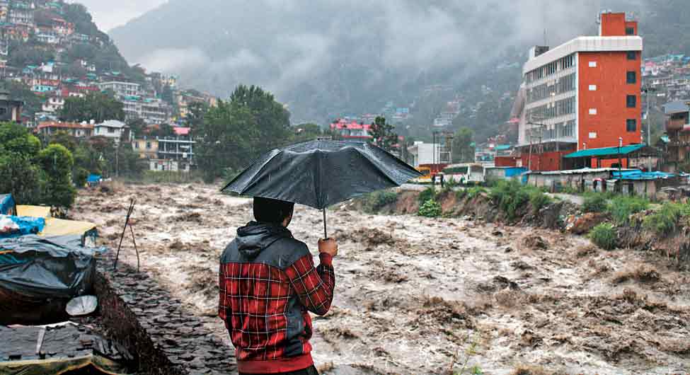 पर्यावरण: उखड़ते देवदार उजड़ती शिमला