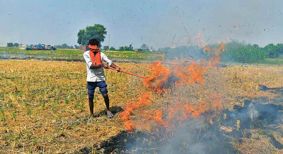 हरियाणा-पंजाबः सस्ती जान पर भारी पराली