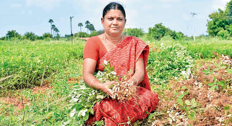 आवरण कथा/ महिला किसान: आधी गृहिणी आधी किसान