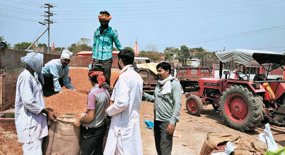 इंतजारः विदिशा जिले के लटेरी कृषि उपज मंडी में उपज की तौल के लिए जद्दोजहद