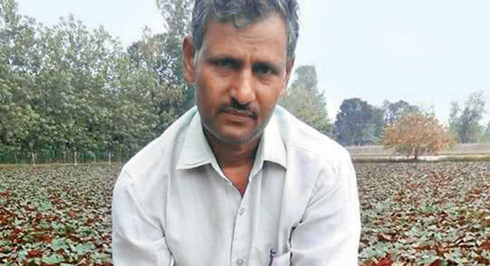 सेठपाल सिंहः मिश्रित खेती से अपनी और आसपास के किसानों की आमदनी बढ़ाने के लिए ‘मेरा स्वराज सर्वोत्तम किसान’ अवार्ड से सम्मानित किया गया
