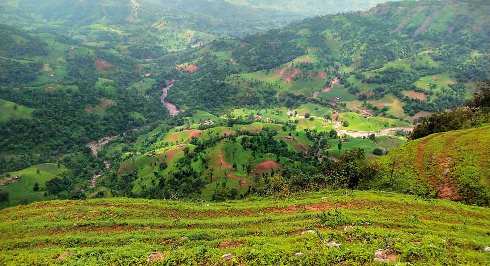 15 साल के सूखे के बाद इस बार तोरणमाल की पहाड़ियों में हरियाली है